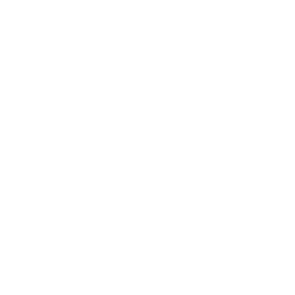 SEO award icon